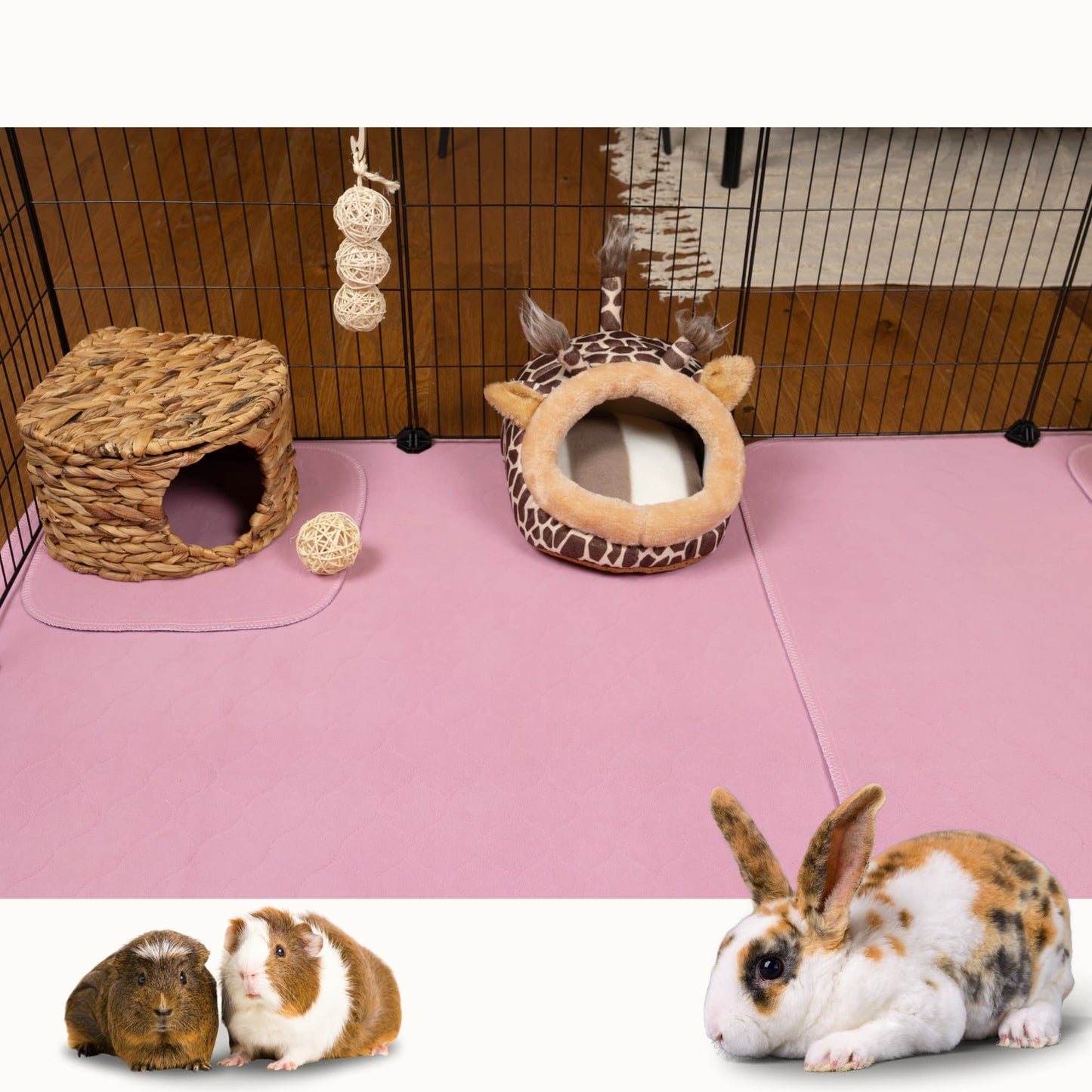 VANESTE cavia en konijn mat - bodembedekking knaagdieren en konijnen