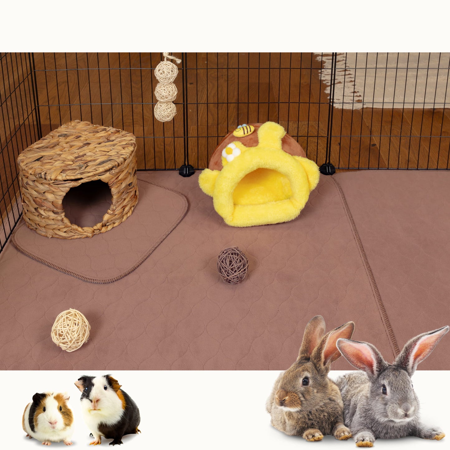 VANESTE cavia bodembedekking voor caviakooi - plasmat