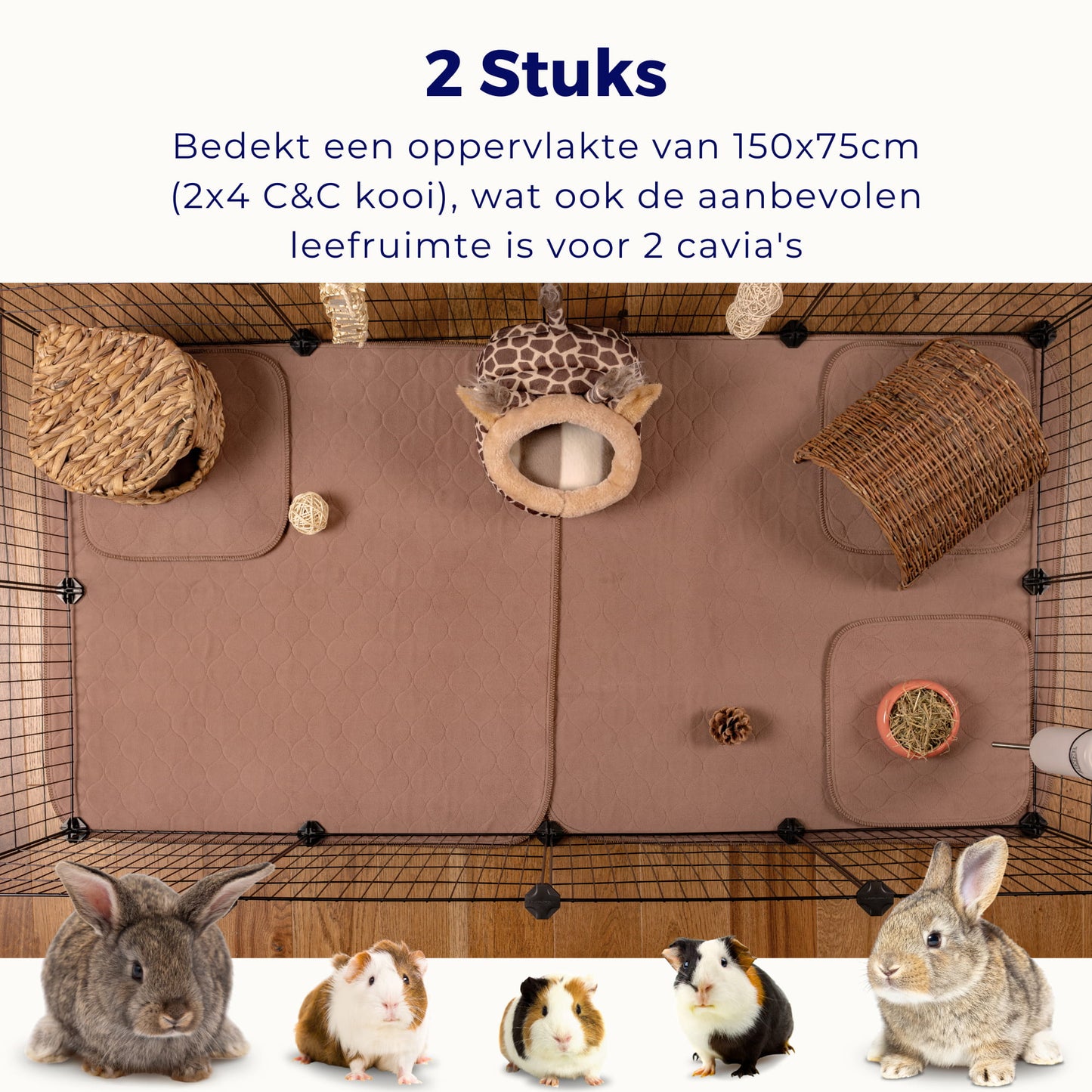 VANESTE cavia bodembedekking voor caviakooi - plasmat
