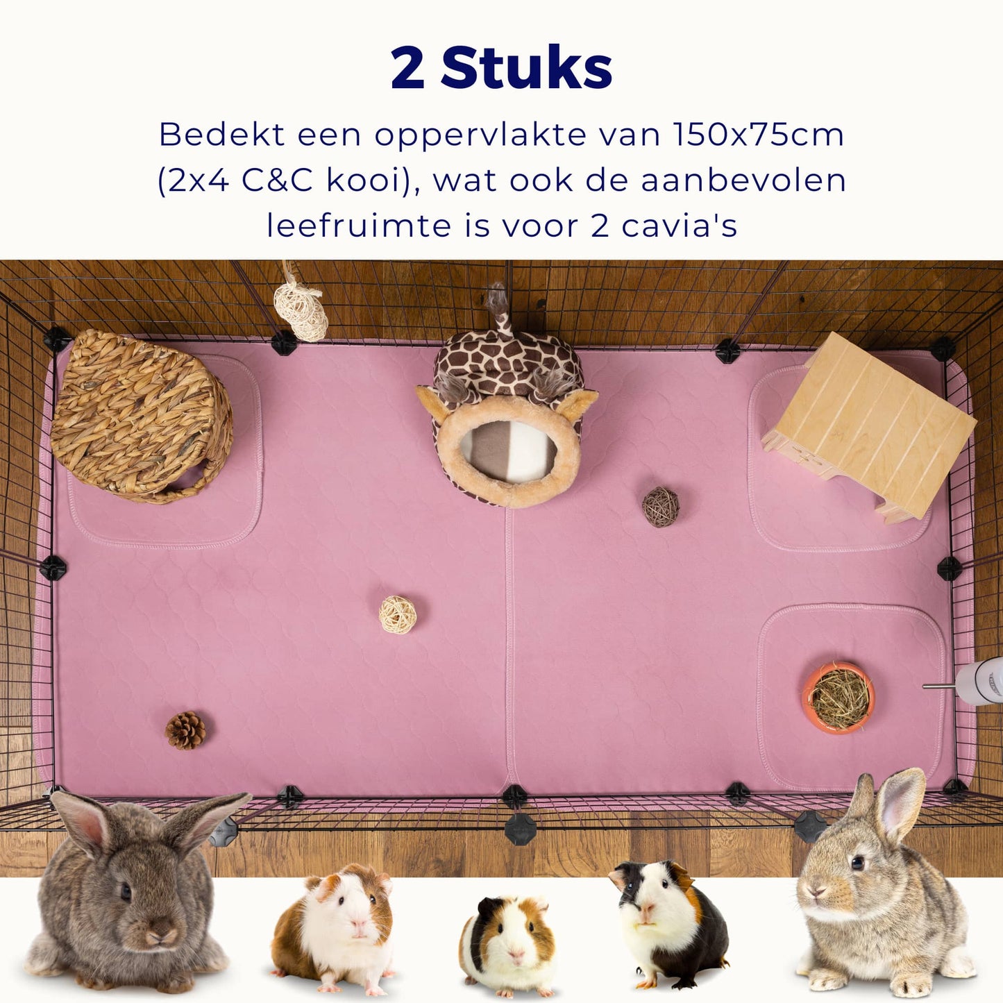 VANESTE cavia bodembedekking voor caviakooi - plasmat