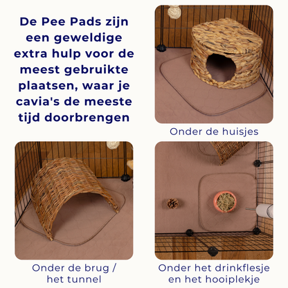VANESTE cavia pee pads - bodembedekking voor caviakooi - plasmat