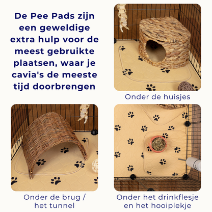 VANESTE cavia pee pads voor cavia kooi - bodembedekking knaagdieren en konijnen