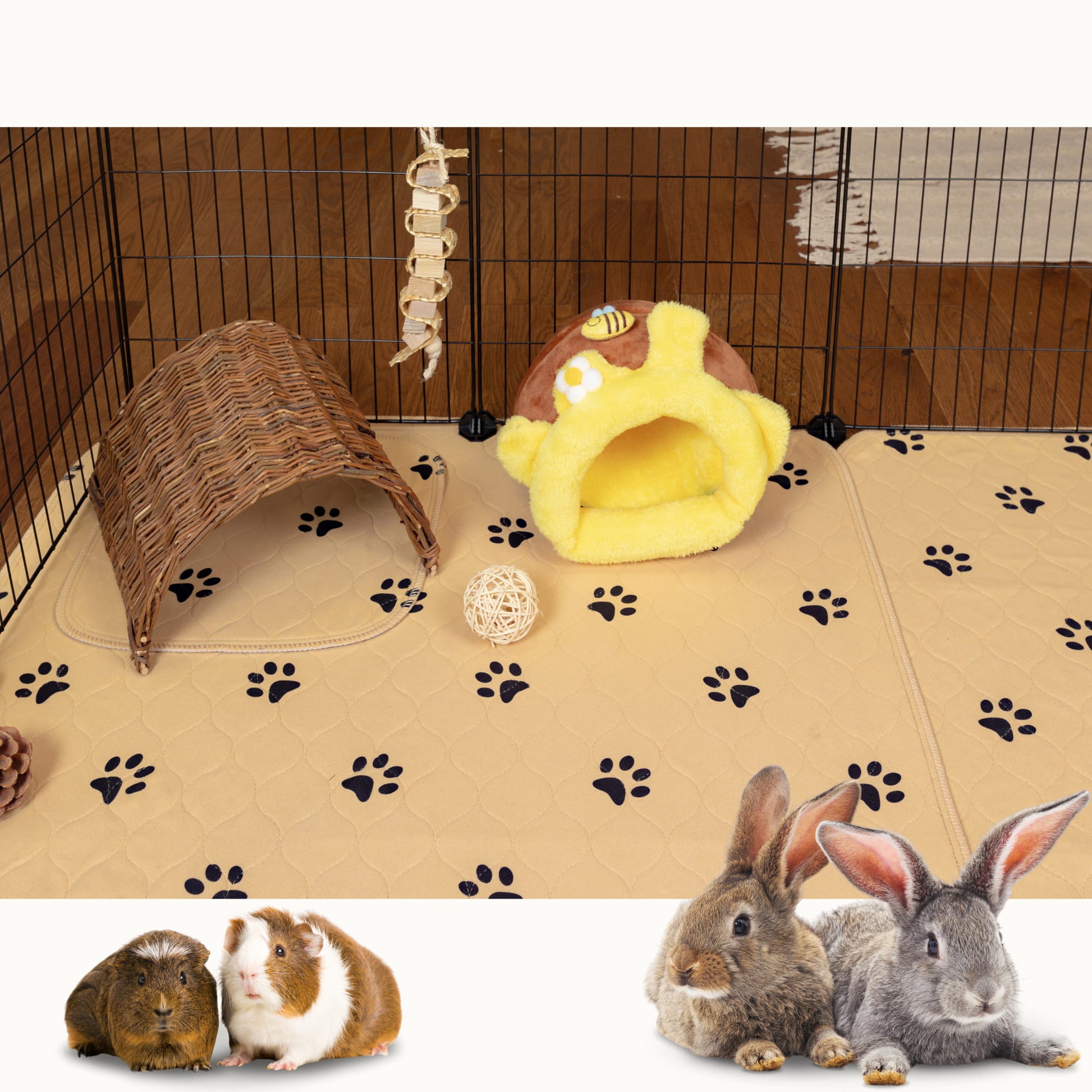 Cavia Bedden, Kussens en Nestmateriaal in de Cavia Webshop! | DRD Knaagdierwinkel Cavia Bedden, Kussens en Nestmateriaal in de Cavia Webshop! | DRD Knaagdierwinkel