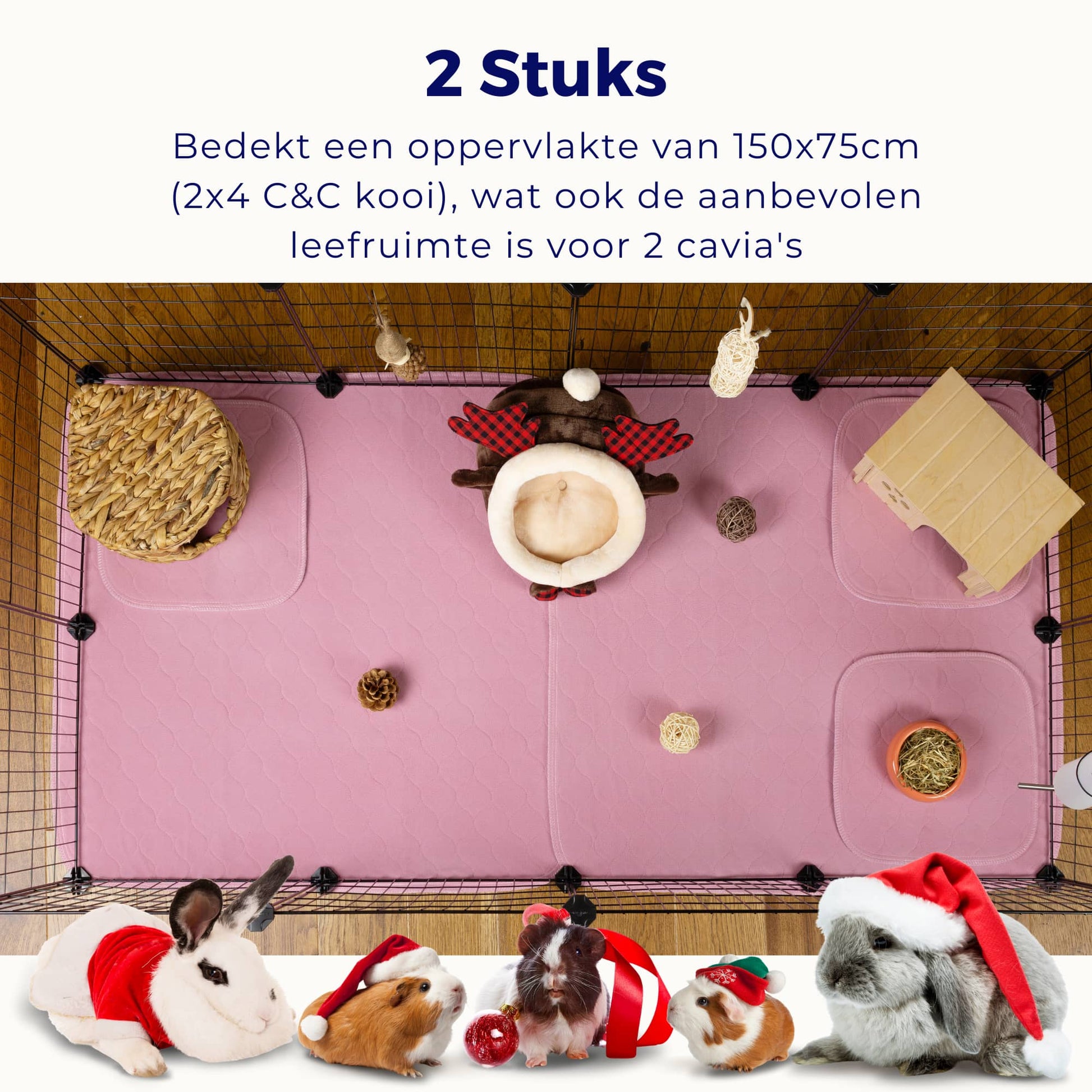 VANESTE cavia bodembedekking voor caviakooi - plasmat